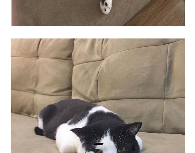 第28话 温度计-第29话