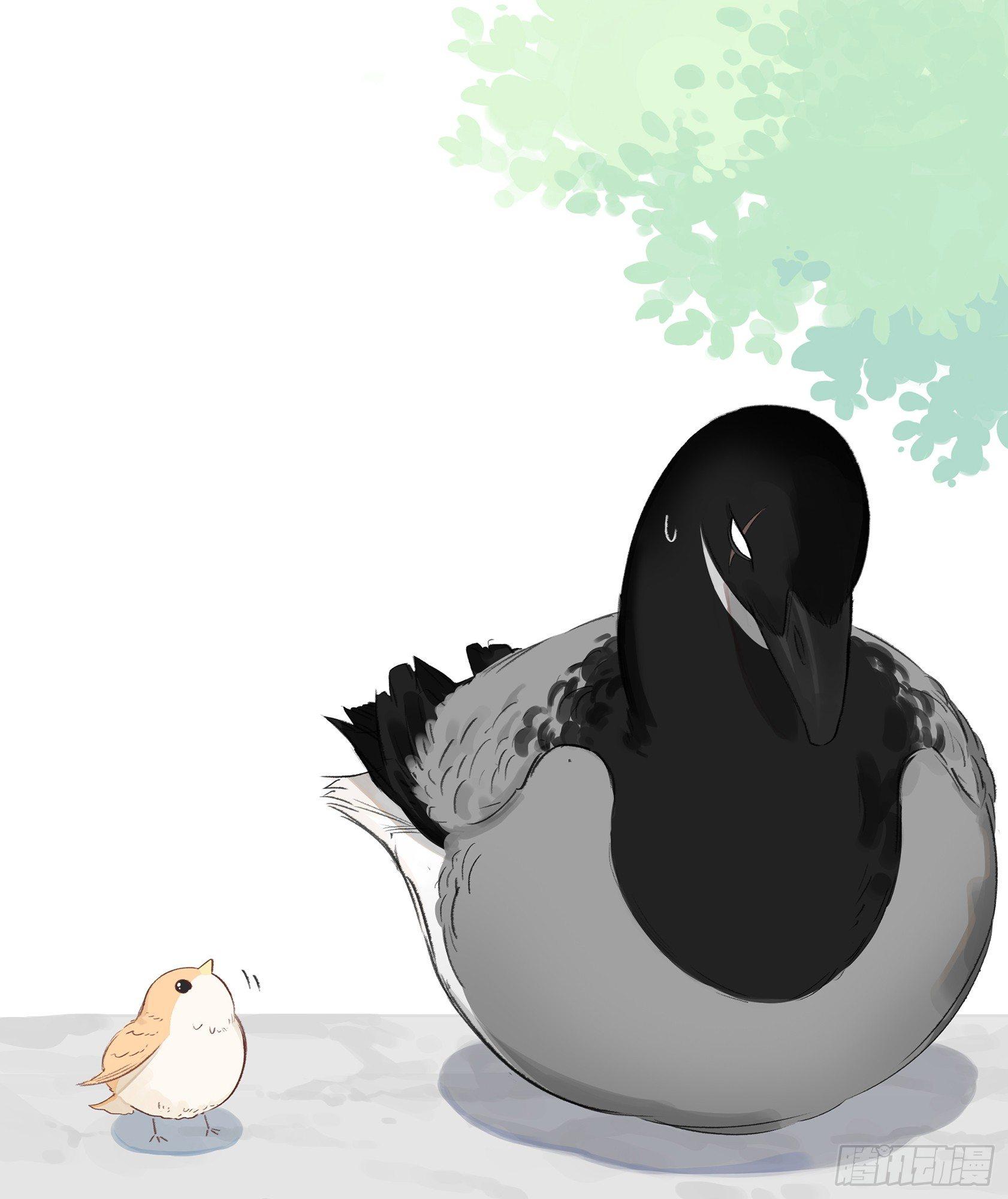 南方的鸟和北方的鸟-第1话