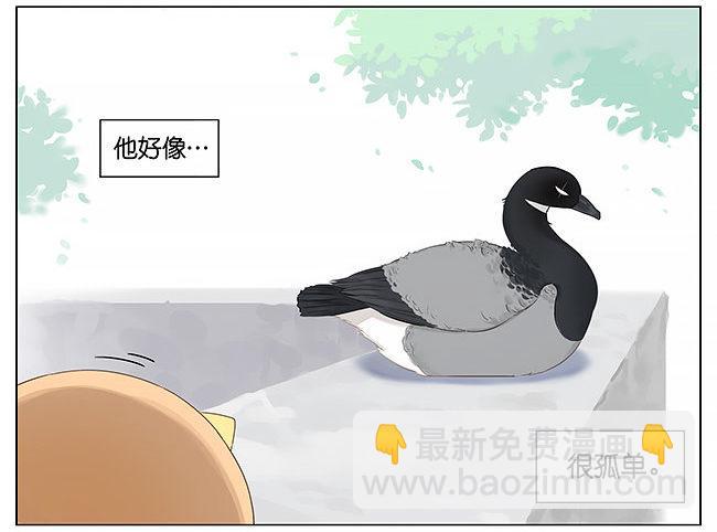 南方的鳥和北方的鳥 - 麻雀。 - 1