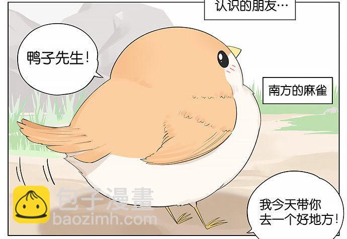 南方的鳥和北方的鳥 - 帶你去個好地方。 - 2