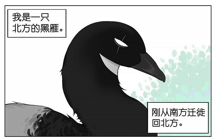 南方的鳥和北方的鳥 - 南方的麻雀和北方的麻雀。 - 1