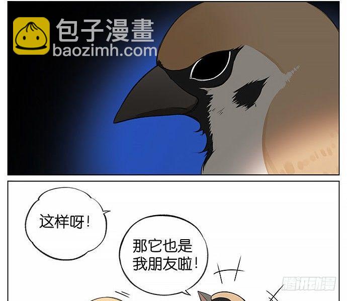 南方的鳥和北方的鳥 - 南方的麻雀和北方的麻雀。 - 2