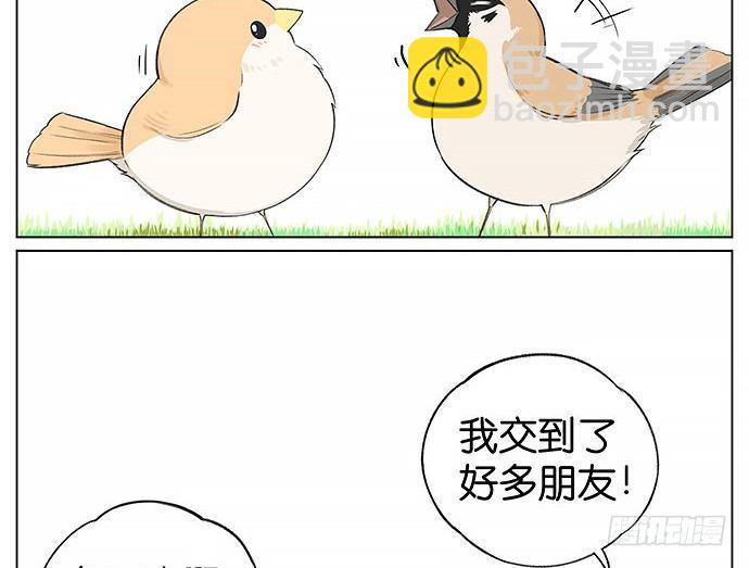 南方的鳥和北方的鳥 - 南方的麻雀和北方的麻雀。 - 3