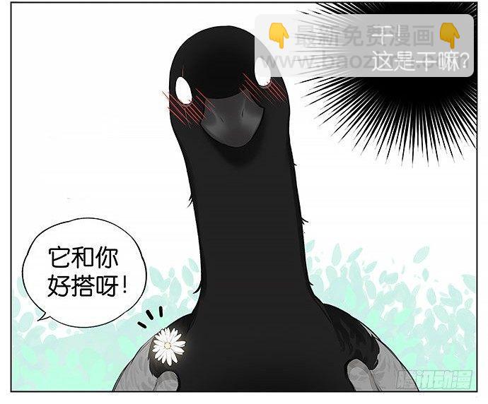 南方的鳥和北方的鳥 - 南方的麻雀和北方的麻雀。 - 1