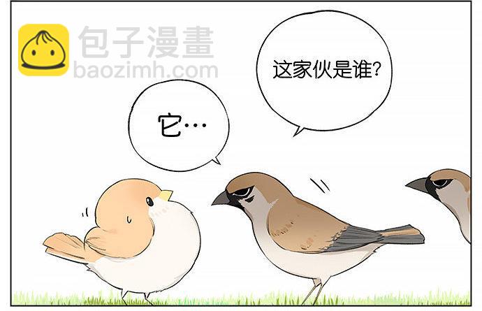 南方的鳥和北方的鳥 - 南方的麻雀和北方的麻雀。 - 1