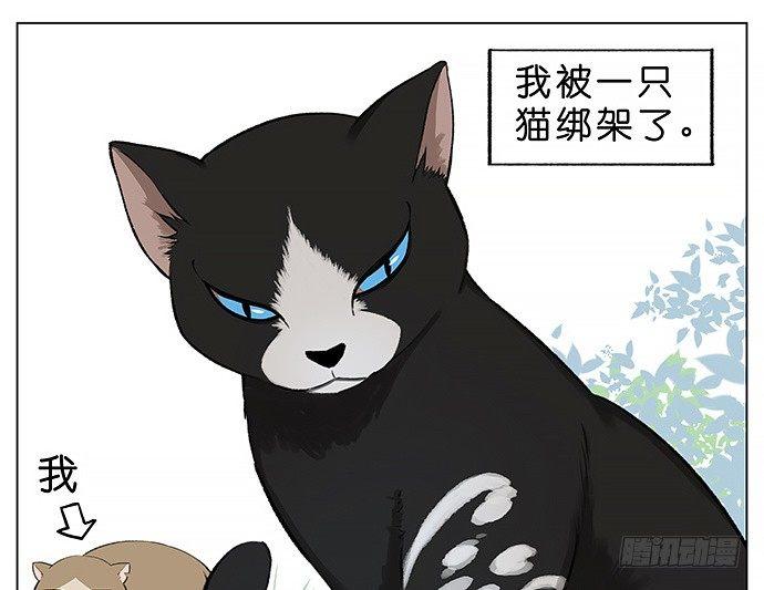我被一只猫绑架了。-第23话