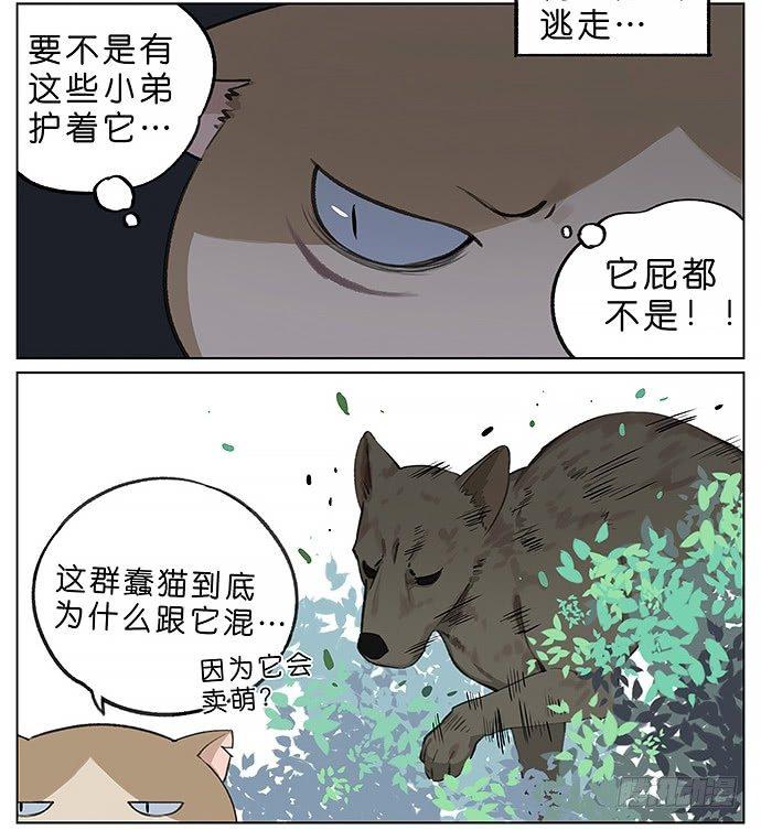 我被一只猫绑架了。-第23话