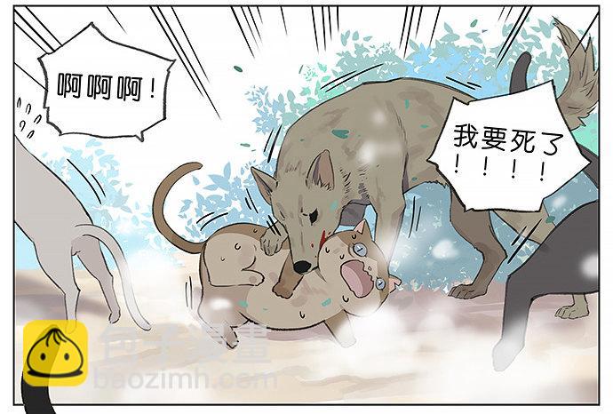 我被一只猫绑架了。-第23话