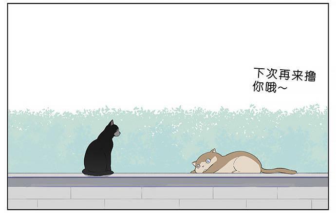 胖胖的猫。-第27话