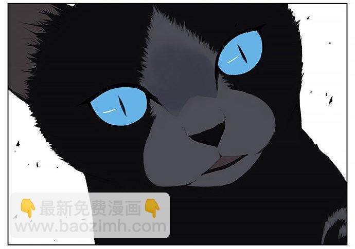 胖胖的猫。-第27话