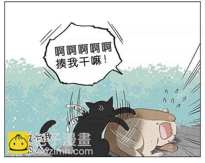 胖胖的猫。-第27话