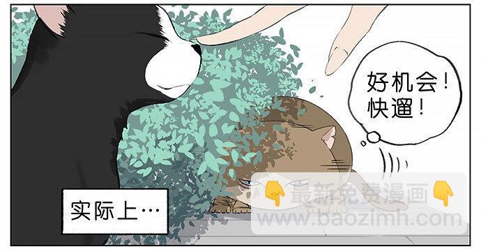 胖胖的猫。-第27话