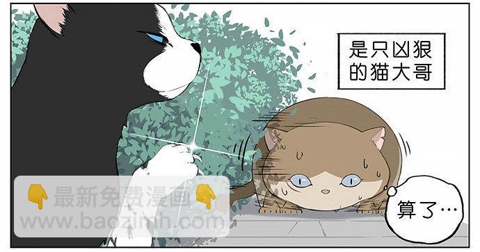 胖胖的猫。-第27话
