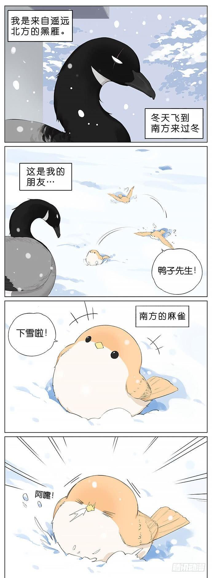 南方的鳥和北方的鳥 - 下雪天的鳥。 - 1