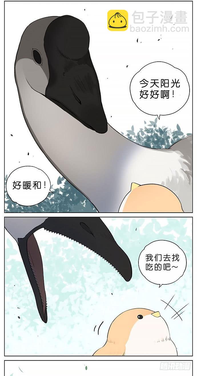 鸭子和鹅。-第31话