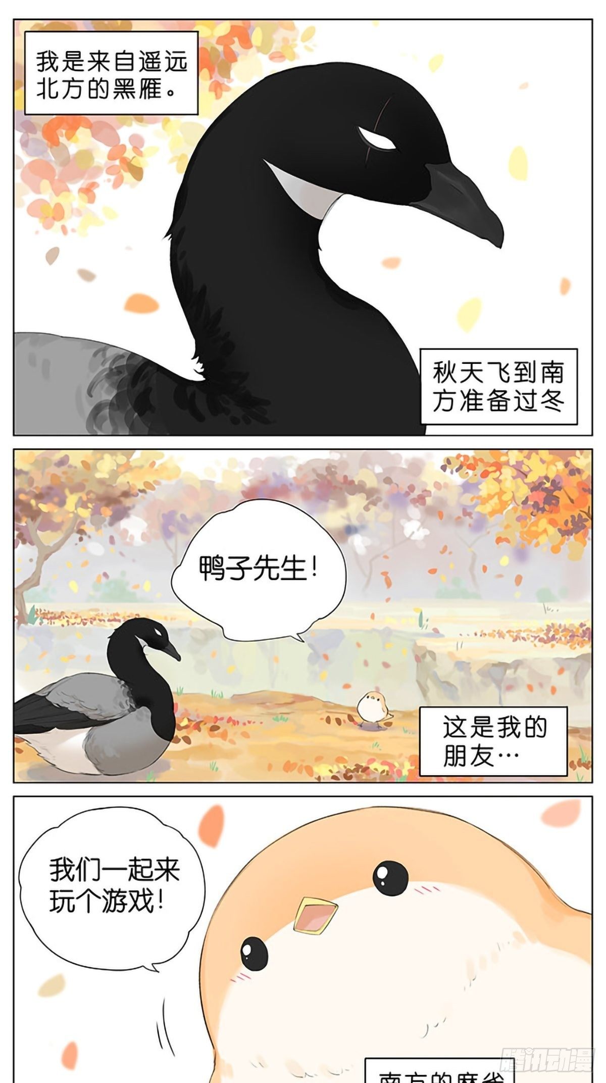 秋天的鸟。-第37话