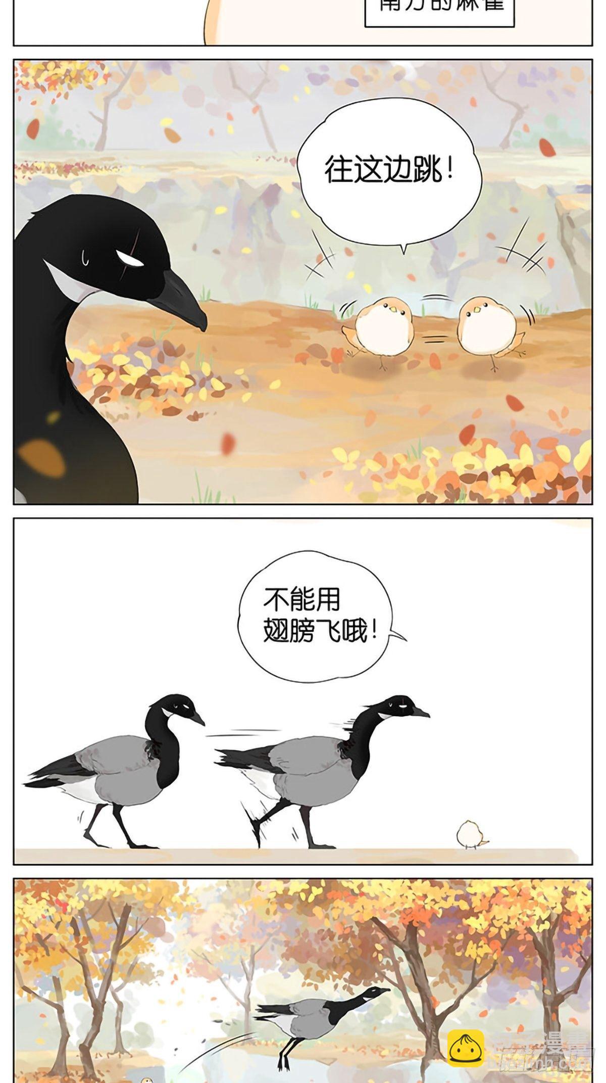秋天的鸟。-第37话