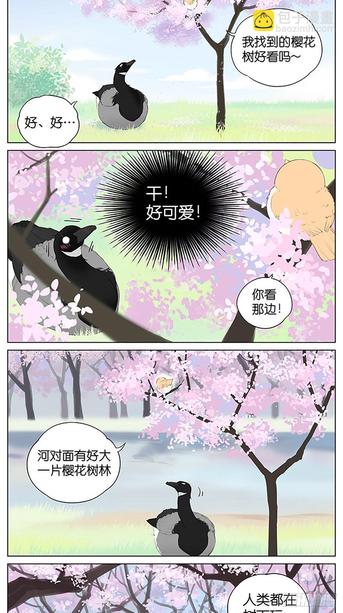 樱花树下的鸟。-第39话