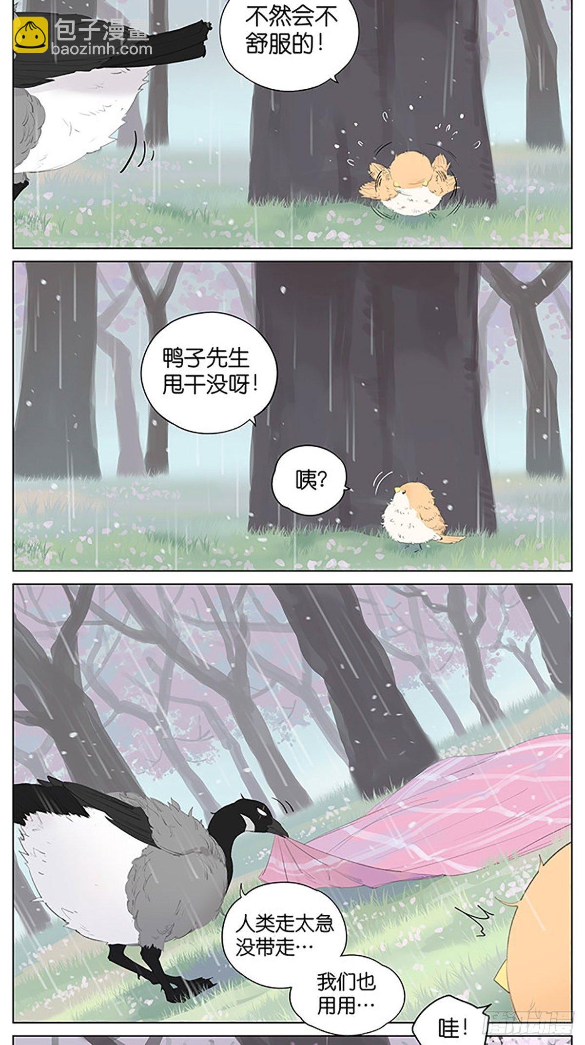 樱花树下的鸟。-第39话