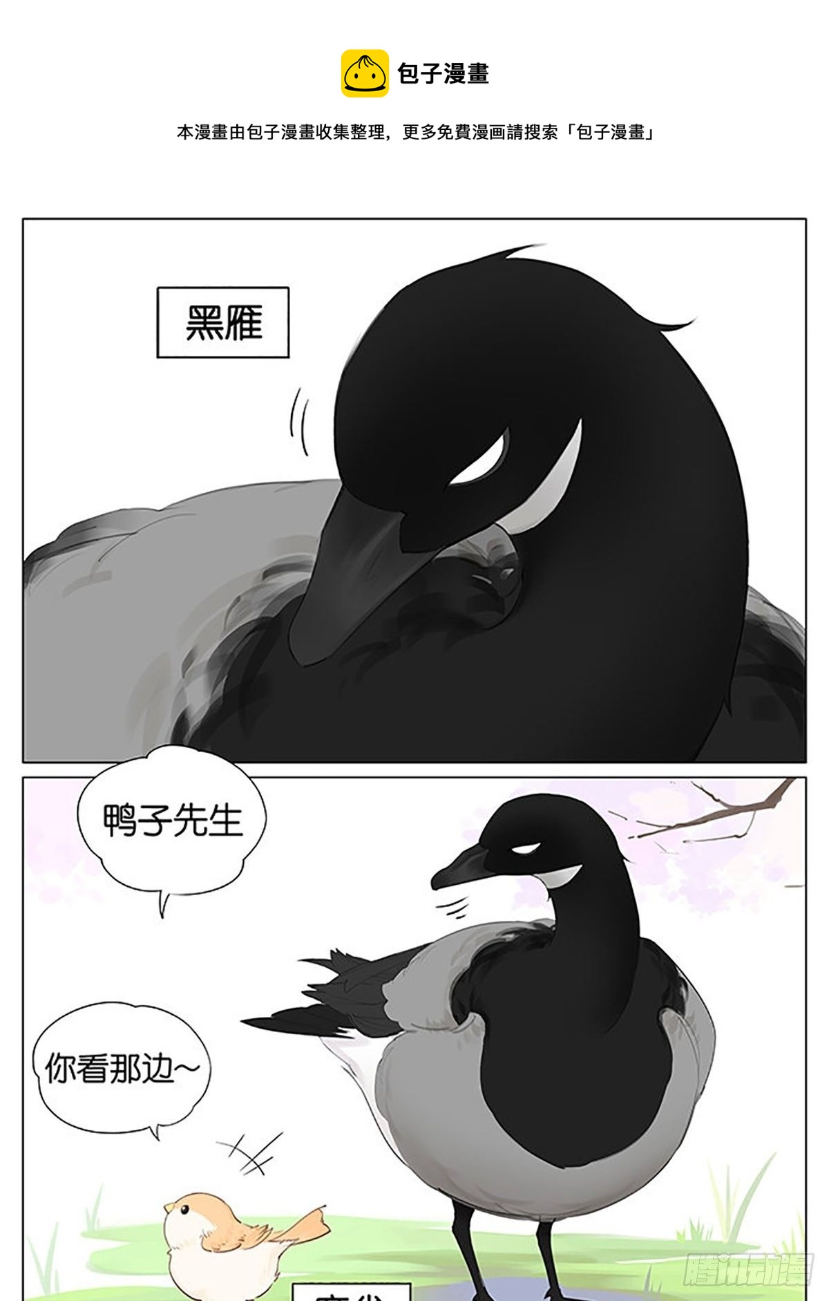 南方的鳥和北方的鳥 - 考驗 - 1