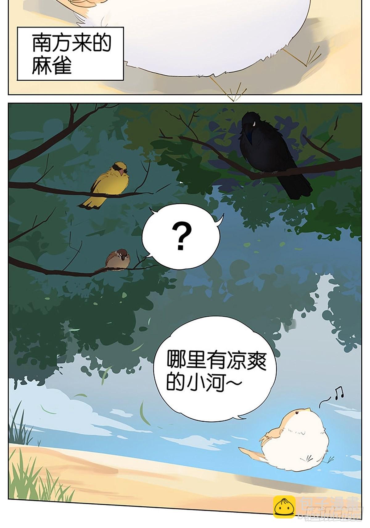 南方的鳥和北方的鳥 - 涼爽的小河 ​​​ - 1