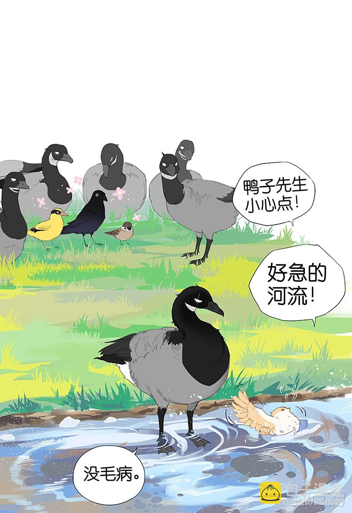 南方的鳥和北方的鳥 - 涼爽的小河 ​​​ - 1