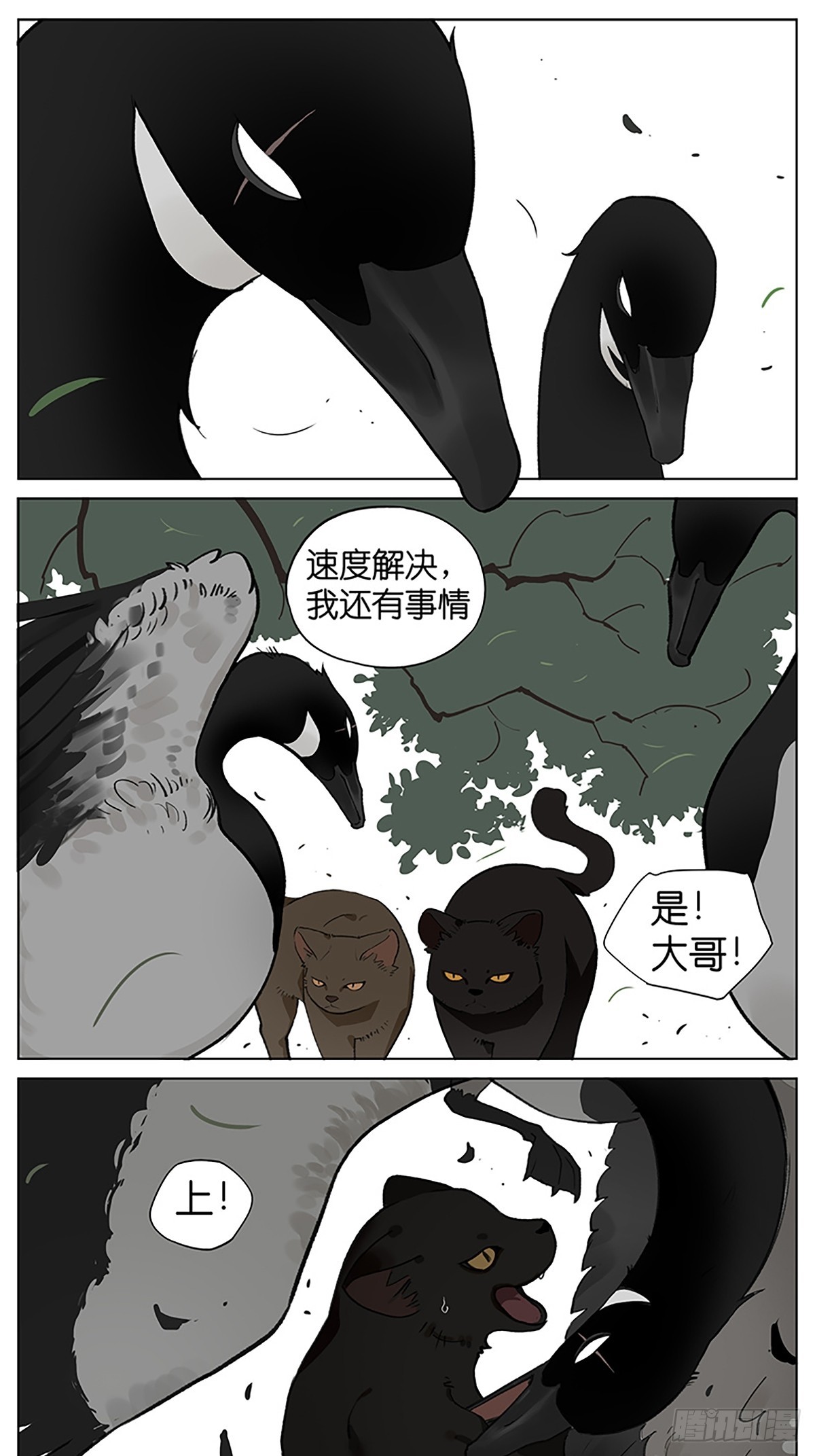 凉爽的一天-第47话