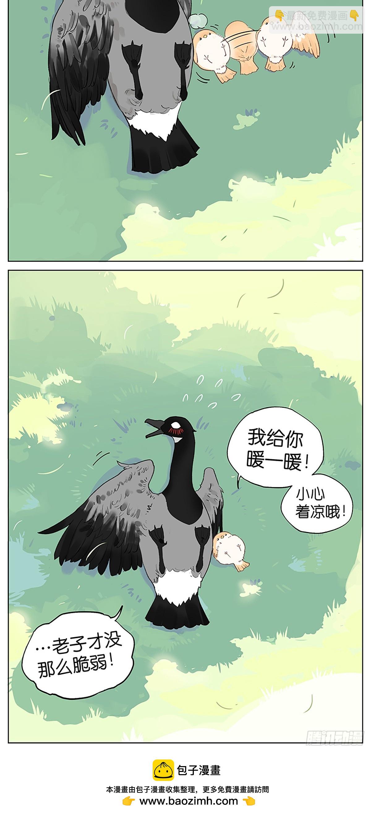 南方的鳥和北方的鳥 - 涼爽的一天 - 2