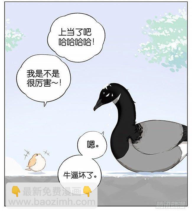 南方的鳥和北方的鳥 - 雪上的小腳印。 - 2