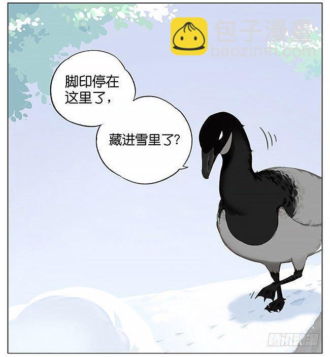 南方的鳥和北方的鳥 - 雪上的小腳印。 - 1