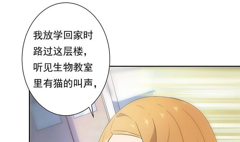 第17话 解答(1/2)-第17话