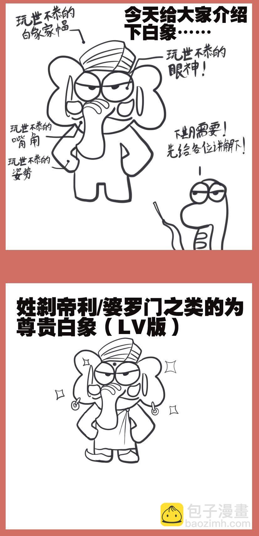 37 白象与大毛-第37话