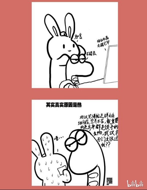 71 那年那兔歼十姬完结+番外-第71话