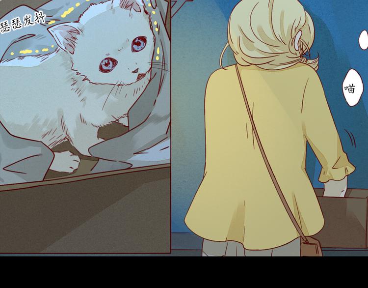 第23话 小猫-第23话