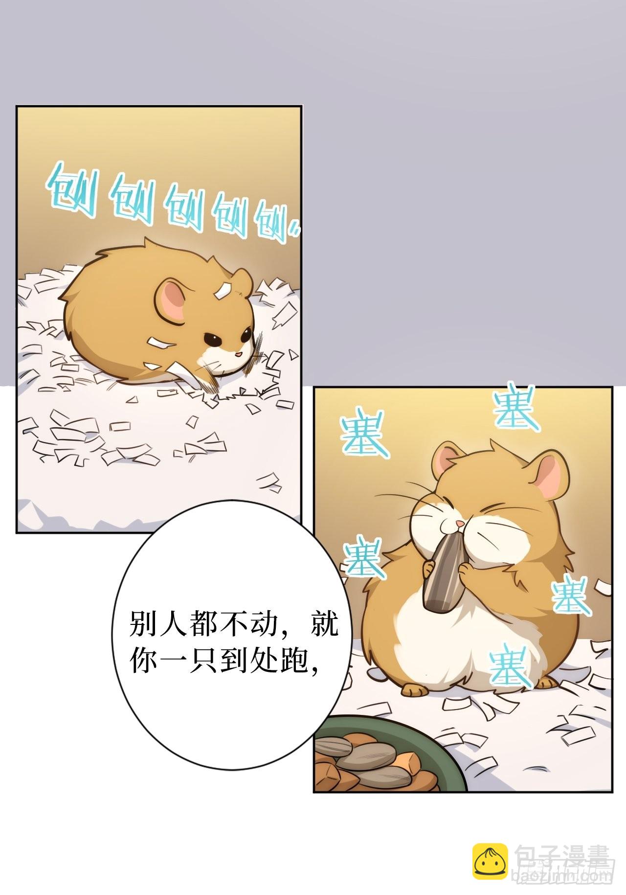 2.我叫肖秘书，是一只仓鼠(1/2)-第3话