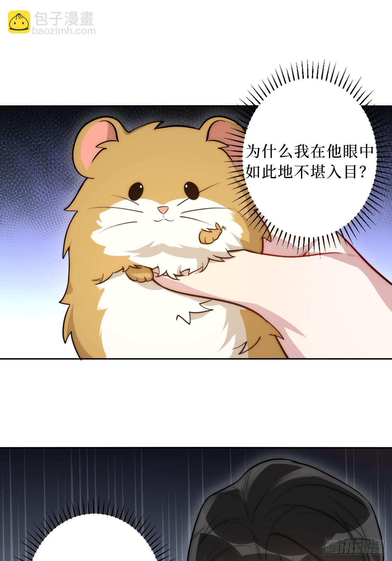 2.我叫肖秘书，是一只仓鼠(1/2)-第3话