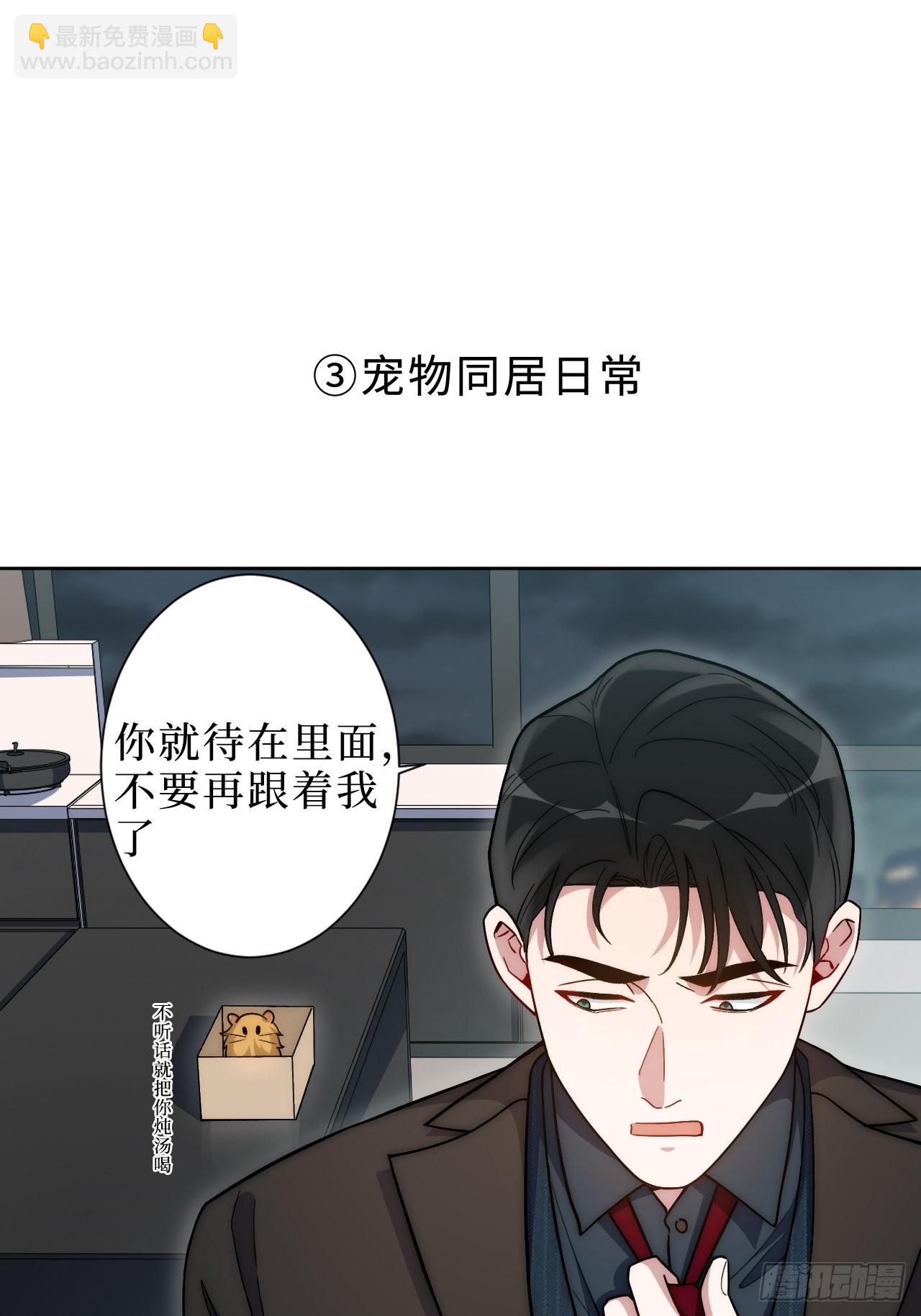 2.我叫肖秘书，是一只仓鼠(1/2)-第3话