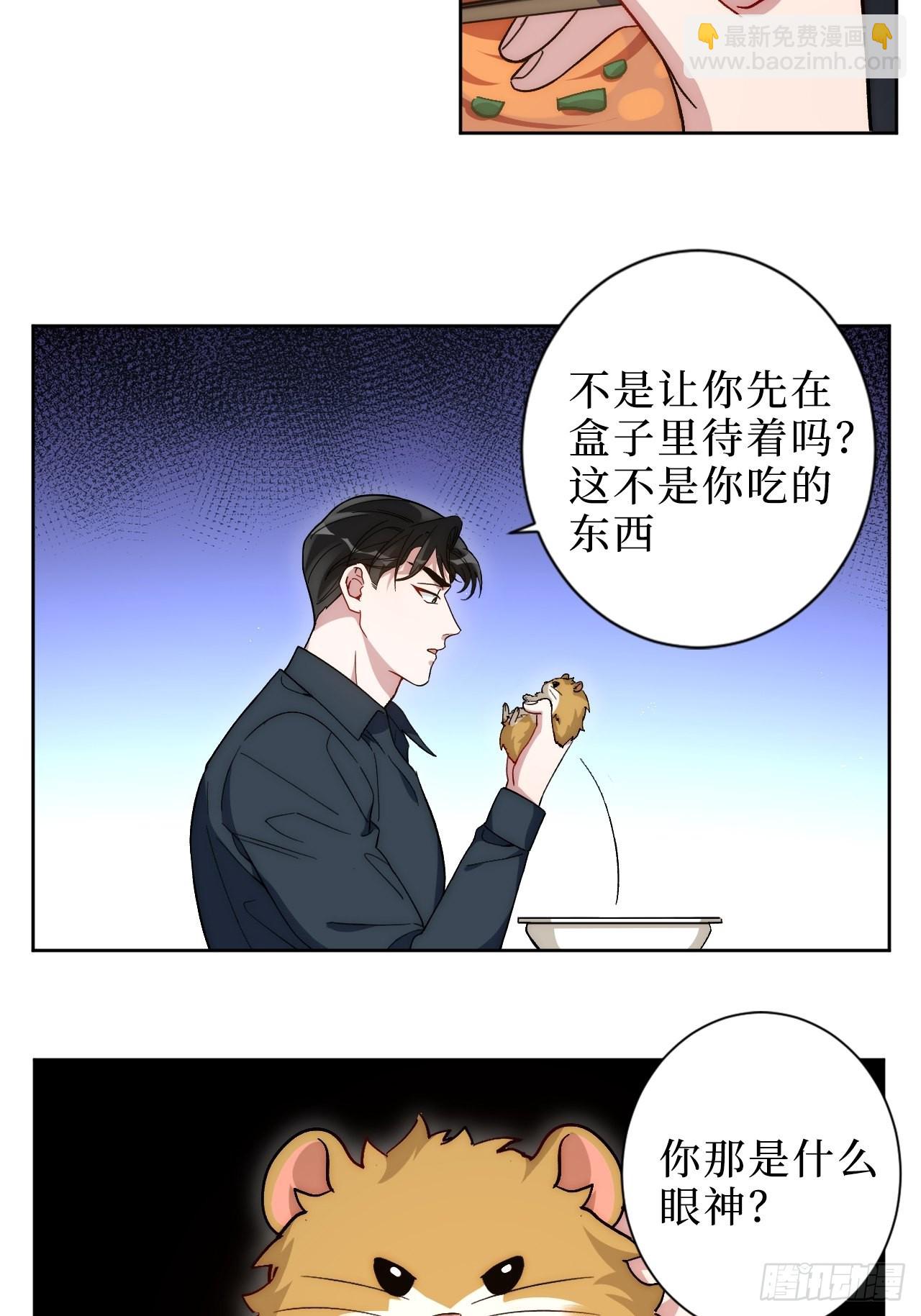 2.我叫肖秘书，是一只仓鼠(1/2)-第3话