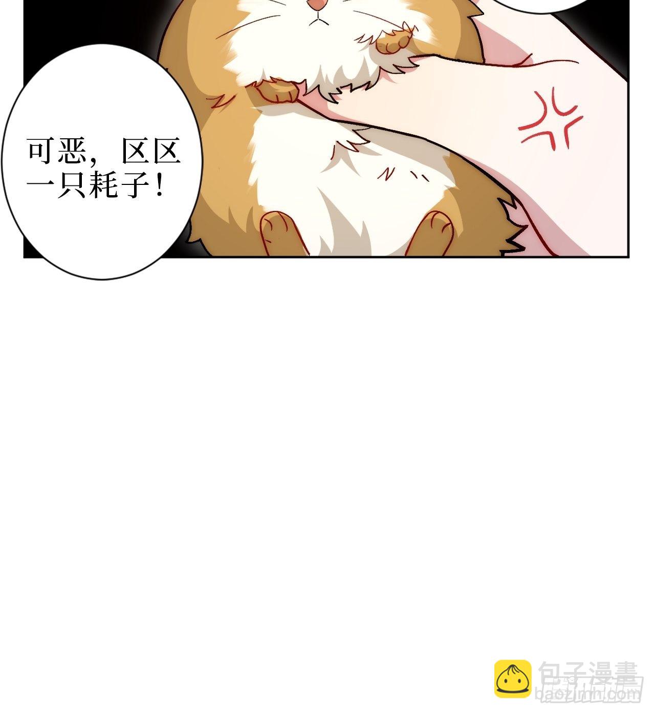 2.我叫肖秘书，是一只仓鼠(1/2)-第3话