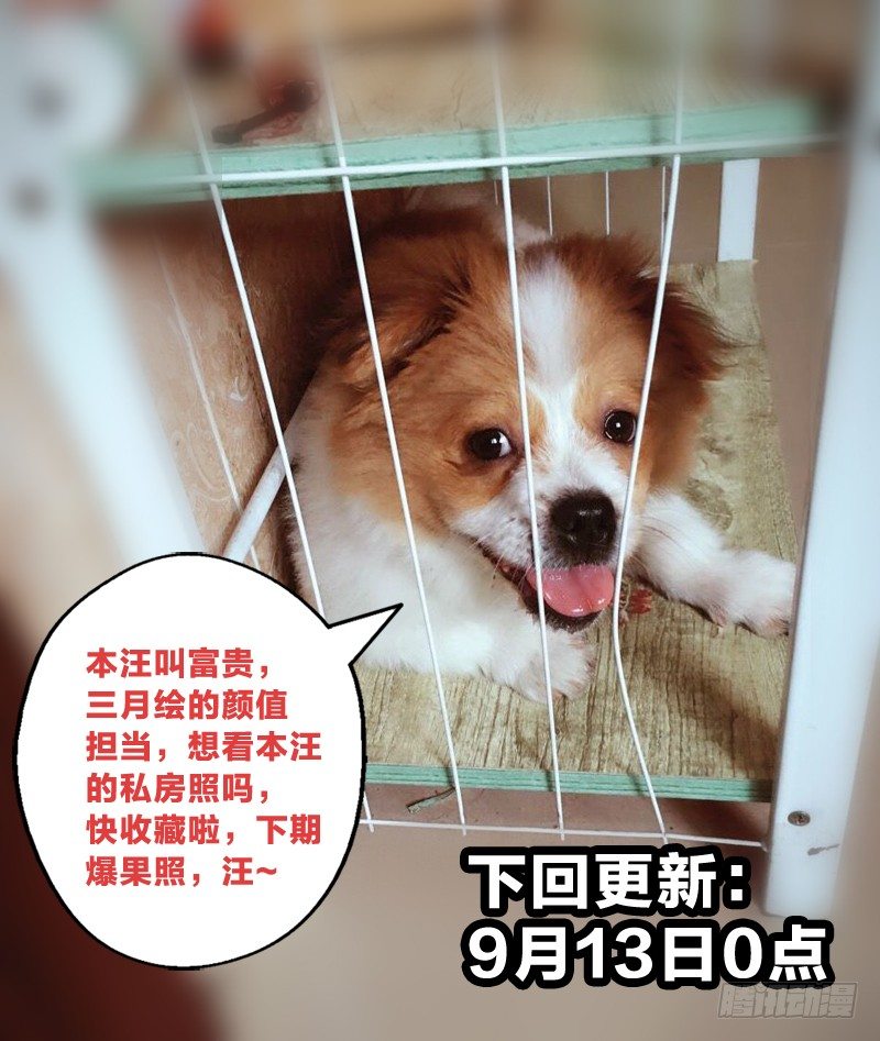 11：一炮毁所有-第11话