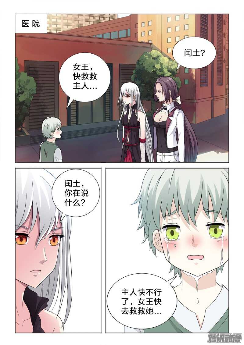 41：生根发芽-第41话