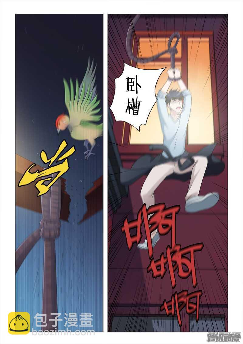 55：鸟罚-第55话