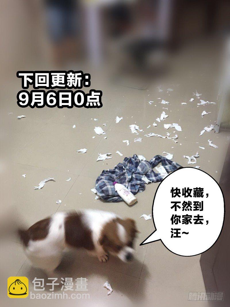 9：这个我要了-第9话