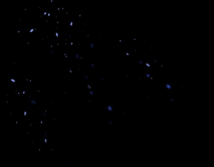 第20话 终于找到爸比了！(1/2)-第21话