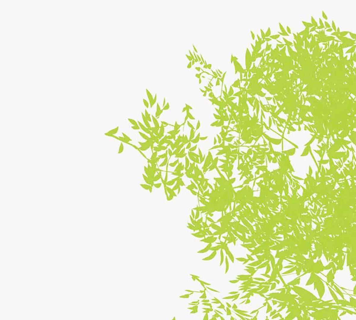 爽约(1/2)-第43话