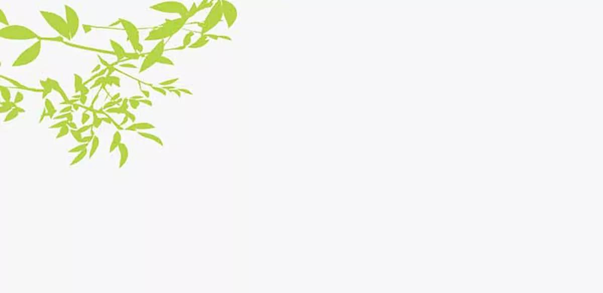 爽约(1/2)-第43话