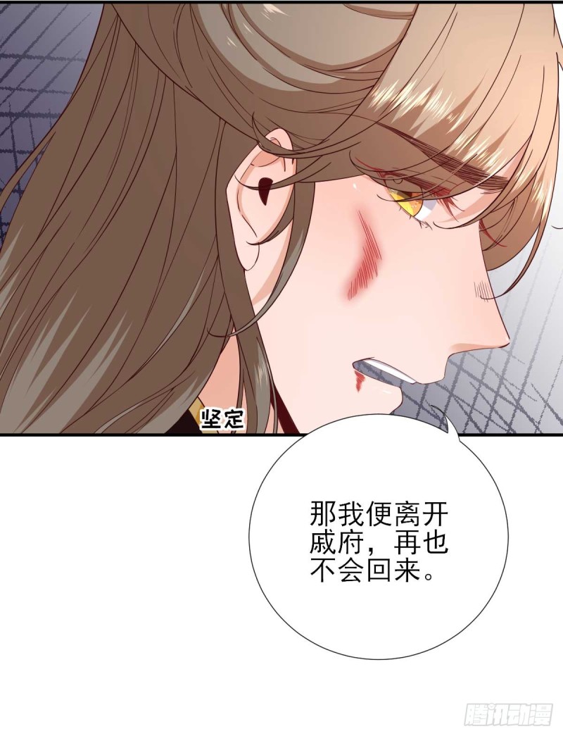 第73话  决定回京-第77话