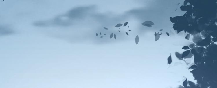 第10话  特别关照(1/3)-第11话