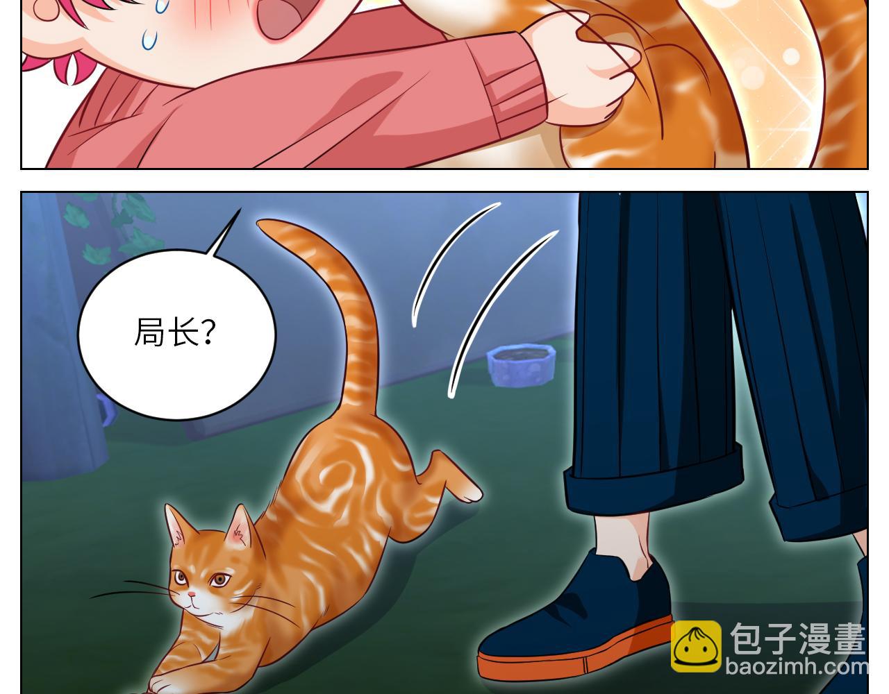 找到的可不止小猫咪-第153话