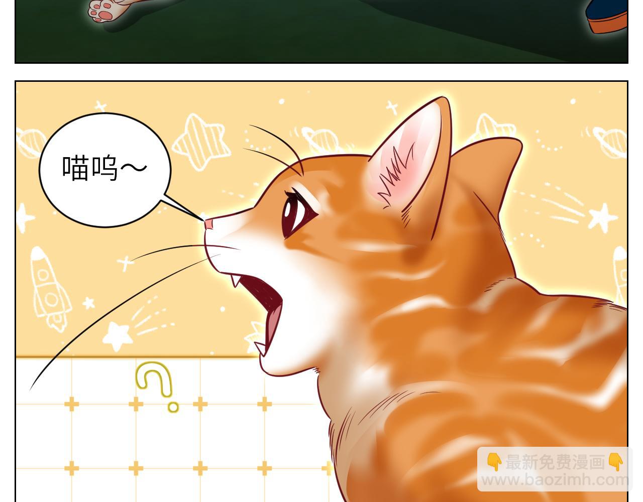 找到的可不止小猫咪-第153话